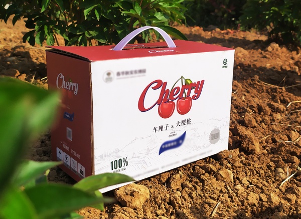 櫻桃、車?yán)遄佣Y盒